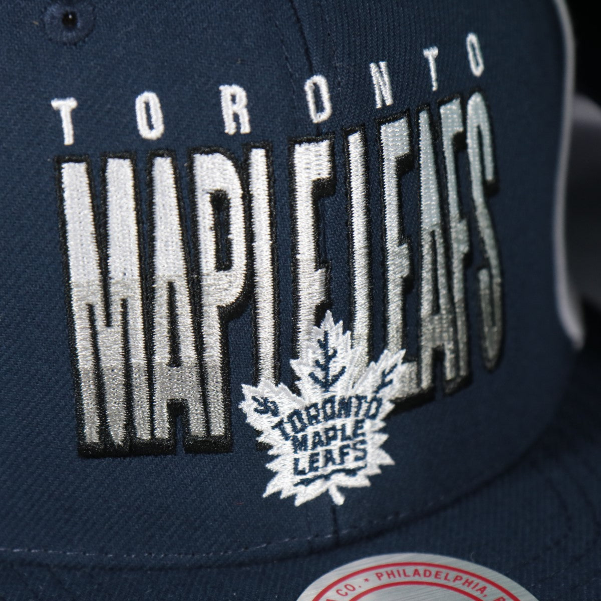 maple leafs logo on the Toronto Maple Leafs NHL Billboard 2 Green bottom Two-Tone | Blue/White Snapback Hat