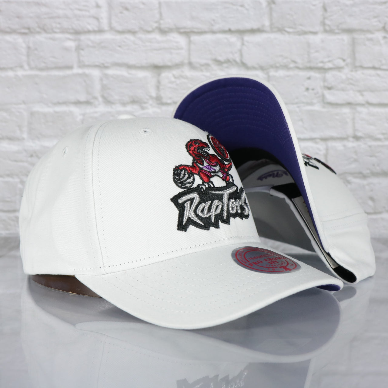 Toronto Raptors NBA Hardwood Classics All in Pro Purple Bottom | White Snapback Hat