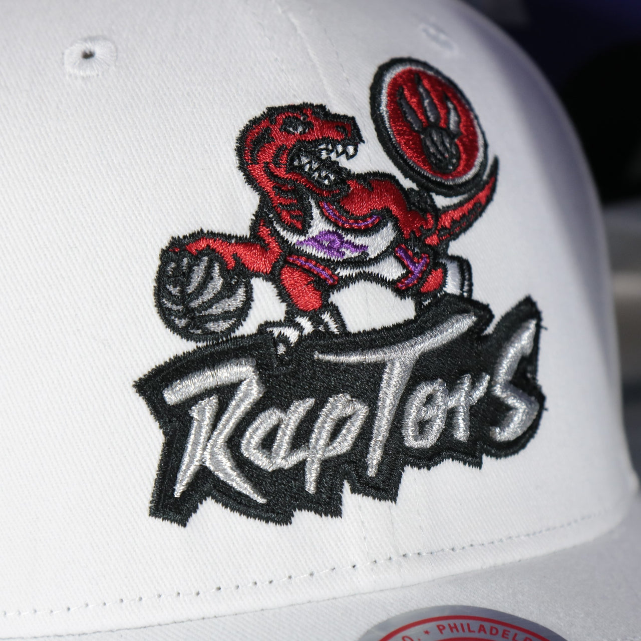 raptors logo on the Toronto Raptors NBA Hardwood Classics All in Pro Purple Bottom | White Snapback Hat