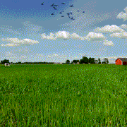 New York Yankees Cooperstown "Ice Cream Pack" 1952 World Series Side Patch 59Fifty Fitted Cap | Cap Swag Exclusive