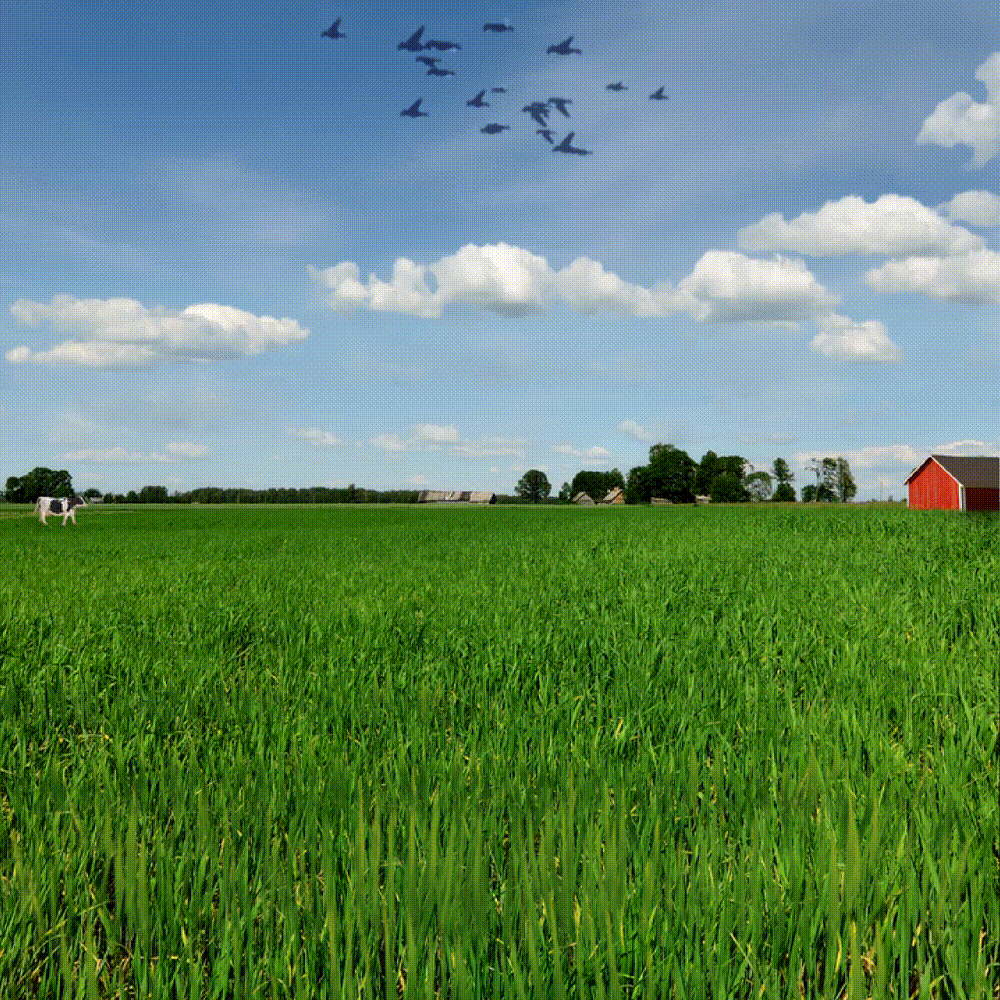 Boston Red Sox Cooperstown "Ice Cream Pack" 1946 All Star Game Side Patch 59Fifty Fitted Cap | Cap Swag Exclusive