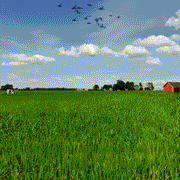 Philadelphia Phillies Cooperstown "Ice Cream Pack" 1952 All Star Game Side Patch 59Fifty Fitted Cap | Cap Swag Exclusive