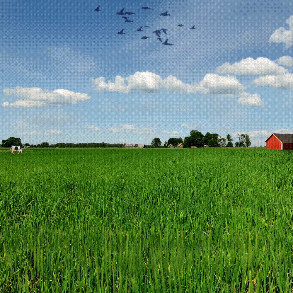 Philadelphia Phillies Cooperstown "Ice Cream Pack" 1952 All Star Game Side Patch 59Fifty Fitted Cap | Cap Swag Exclusive