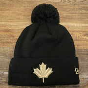 The front of the Toronto Raptors NBA City Series Metallic Gold Leaf Winter Beanie | Black Winter Beanie