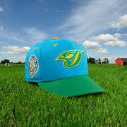Toronto Blue Jays Cooperstown "Ice Cream Pack" 30th Season Side Patch 59Fifty Fitted Cap | nohiosafariclub Exclusive
