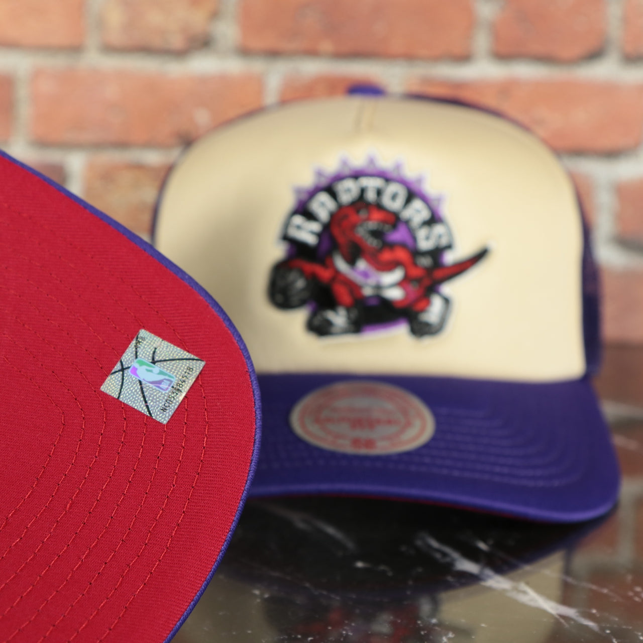 Toronto Raptors Vintage "Raptors" wordmark red Bottom 2-Tone Foam Trucker Hat | Purple/Off-White Mitchell and Ness Hat