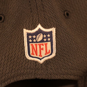 Close up of NFL shield on the Pittsburgh Steelers NFL 2021 Crucial Catch Breast Cancer Awareness 9Fifty Snapback Hat