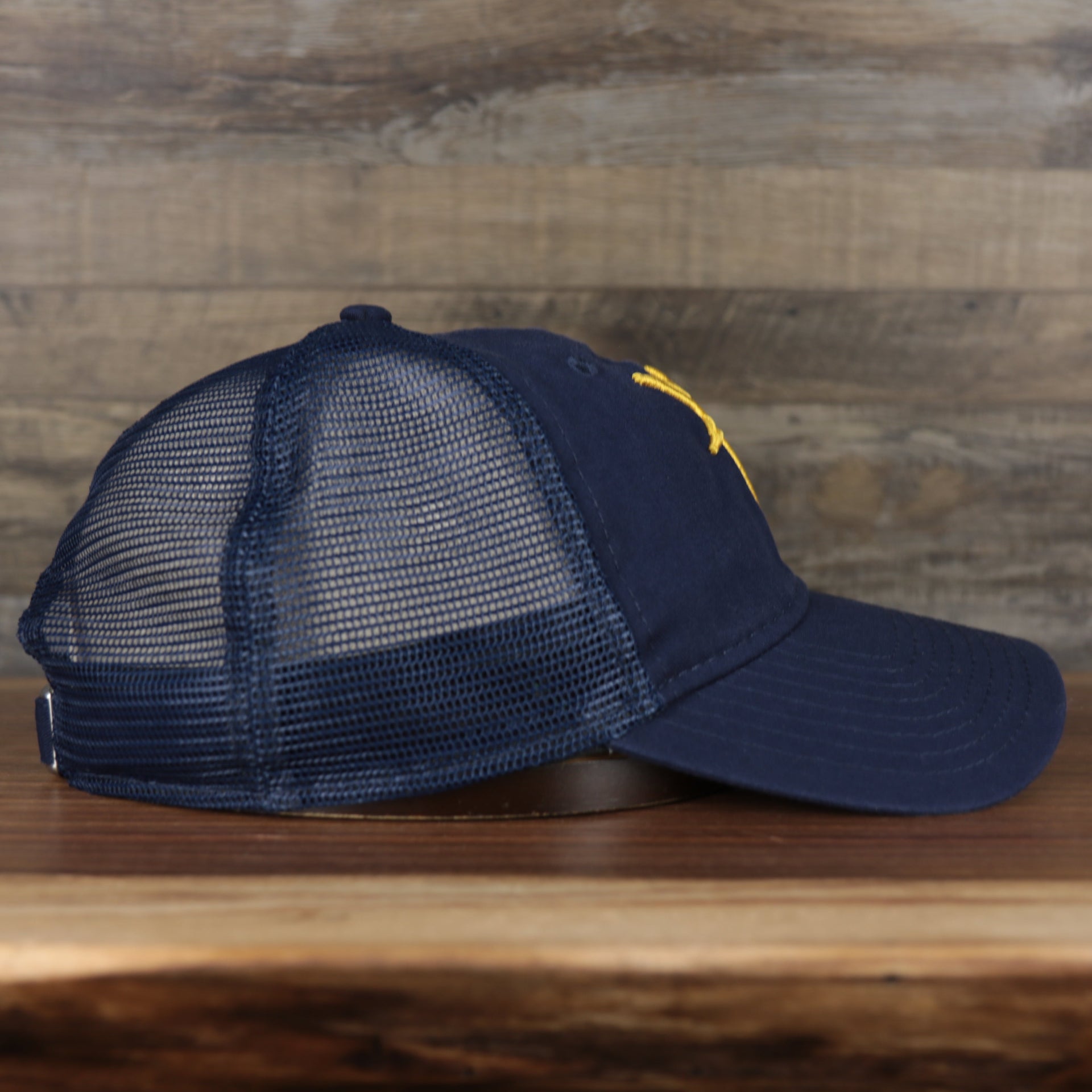 Wearer's right of the Tampa Bay Rays 2022 MLB Batting Practice 9Twenty Trucker Dad Hat
