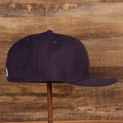 Wearer's right on the Arizona Diamondbacks Upside Down Logo Gray Bottom 59Fifty Fitted Cap