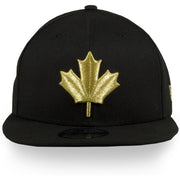 Front of Raptors Black snapback | Toronto Raptors 2019 Nba city series metallic leaf black 950 snapback