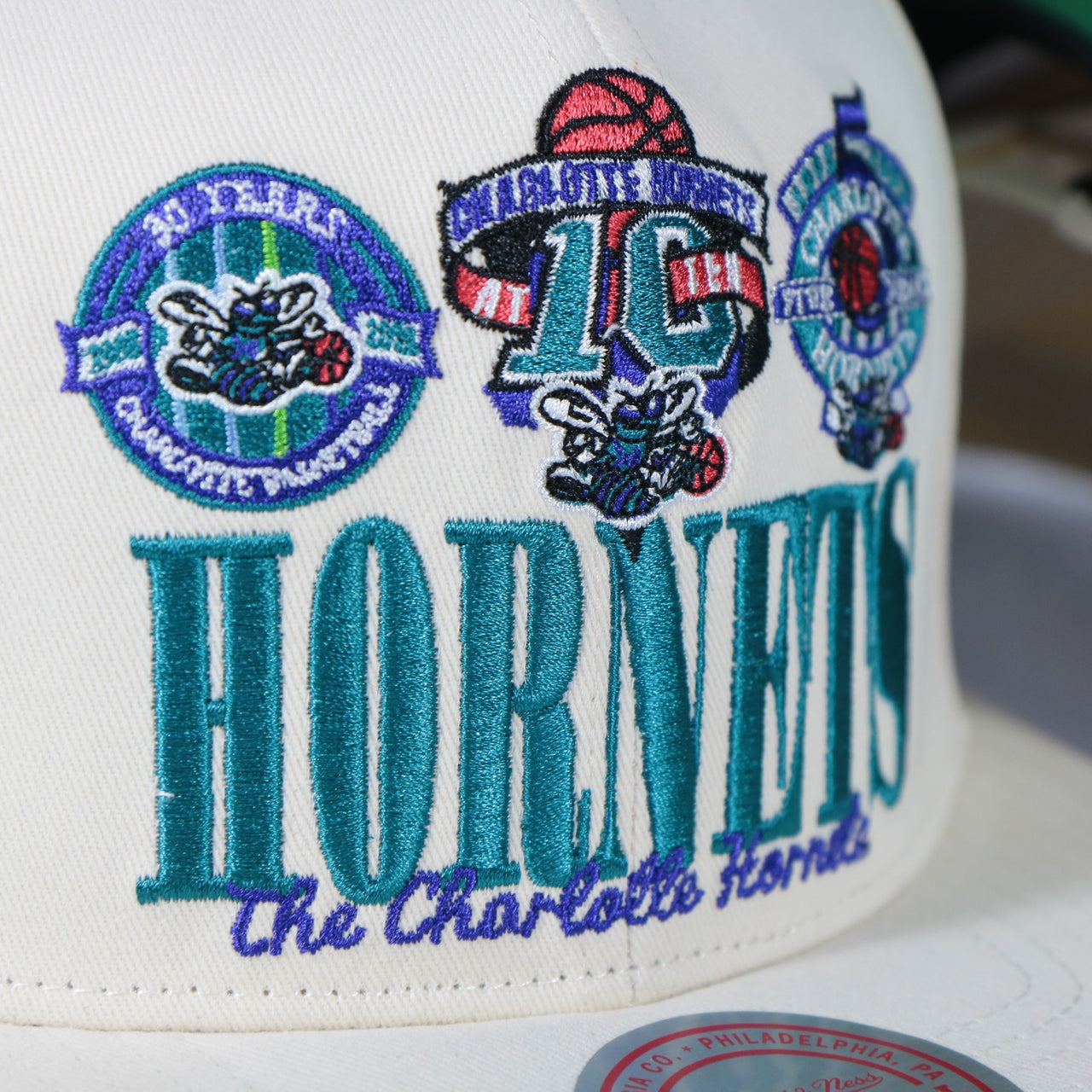 vintage hornets logos on the Charlotte Hornets Hardwood Classics Reframe Retro Green bottom | Off-White Snapback Hat