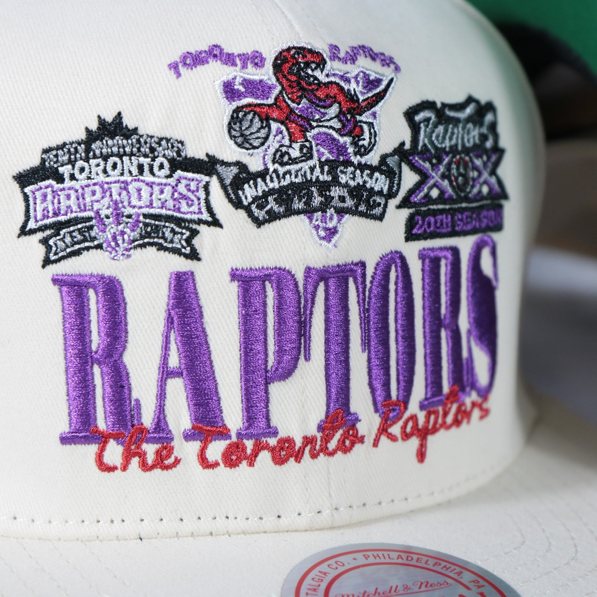 raptors vintage logos on the Toronto Raptors Hardwood Classics Reframe Retro Green bottom | Off-White Snapback Hat