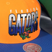 gators logo on the Florida Gators NCAA Billboard 2 Green bottom Tri-Tone | Orange/White/Royal Snapback Hat