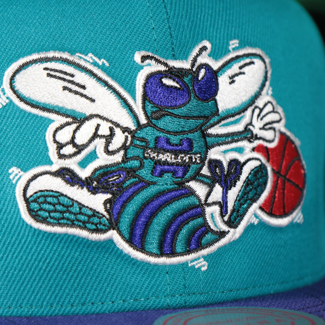 Charlotte Hornets NBA Team 2 Tone 2.0 Green bottom | Teal/Purple Snapback Hat