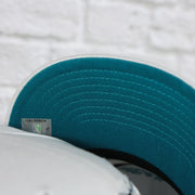 teal under visor on the Charlotte Hornets NBA Hardwood Classics All in Pro Teal Bottom | White Snapback Hat