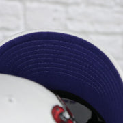 purple under visor on the Toronto Raptors NBA Hardwood Classics All in Pro Purple Bottom | White Snapback Hat