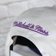 mitchell and ness logo on the Toronto Raptors NBA Hardwood Classics All in Pro Purple Bottom | White Snapback Hat