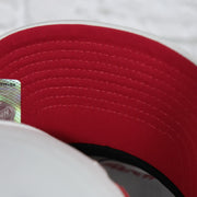 red under visor on the Detroit Red Wings NHL All in Pro Red Bottom | White Snapback Hat