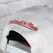 mitchell and ness logo on the Detroit Red Wings NHL All in Pro Red Bottom | White Snapback Hat