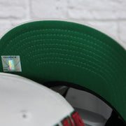 green under visor on the Milwaukee Bucks NBA Hardwood Classics All in Pro Green Bottom | White Snapback Hat