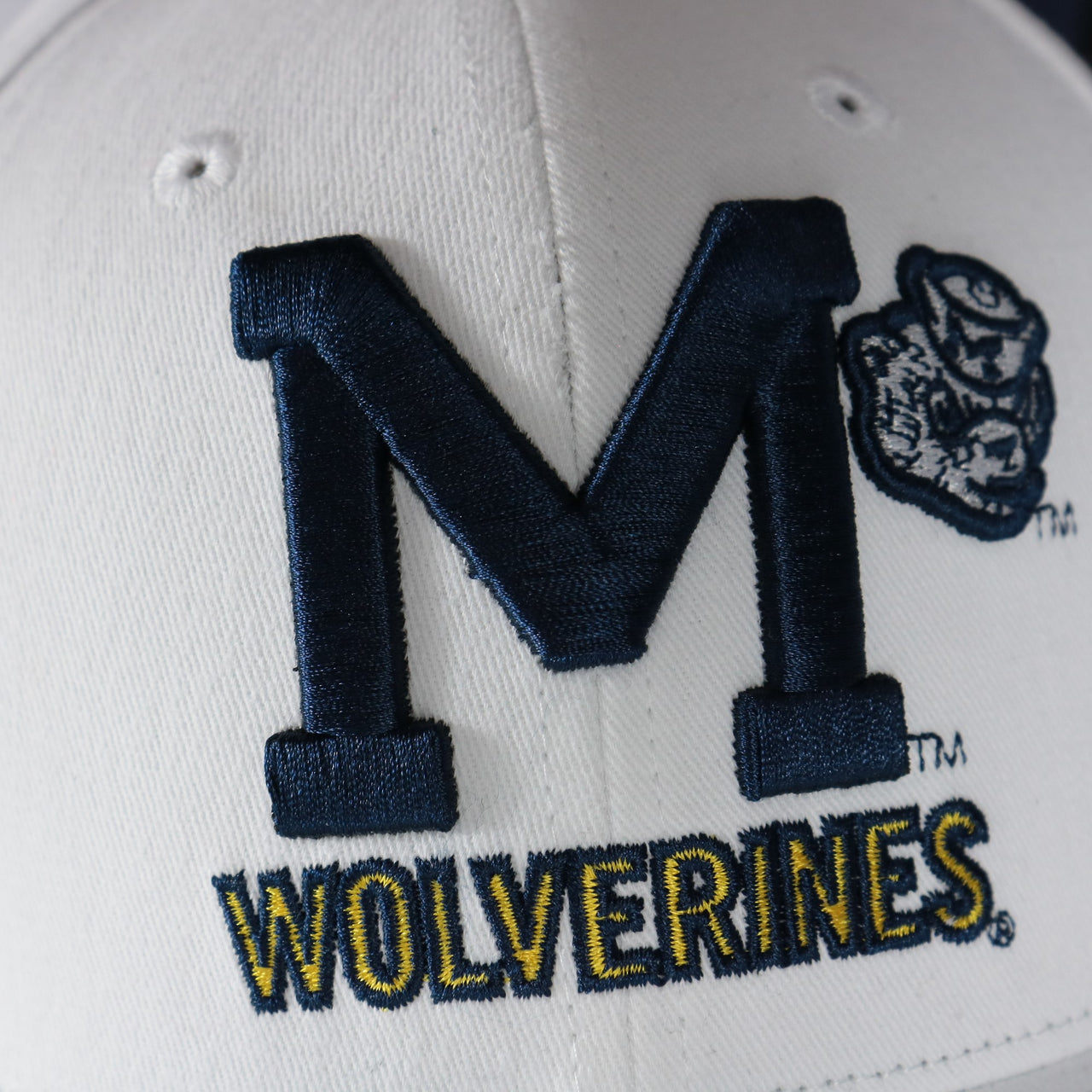 wolverines logo on the Michigan Wolverines NCAA All in Pro Navy Bottom | White Snapback Hat