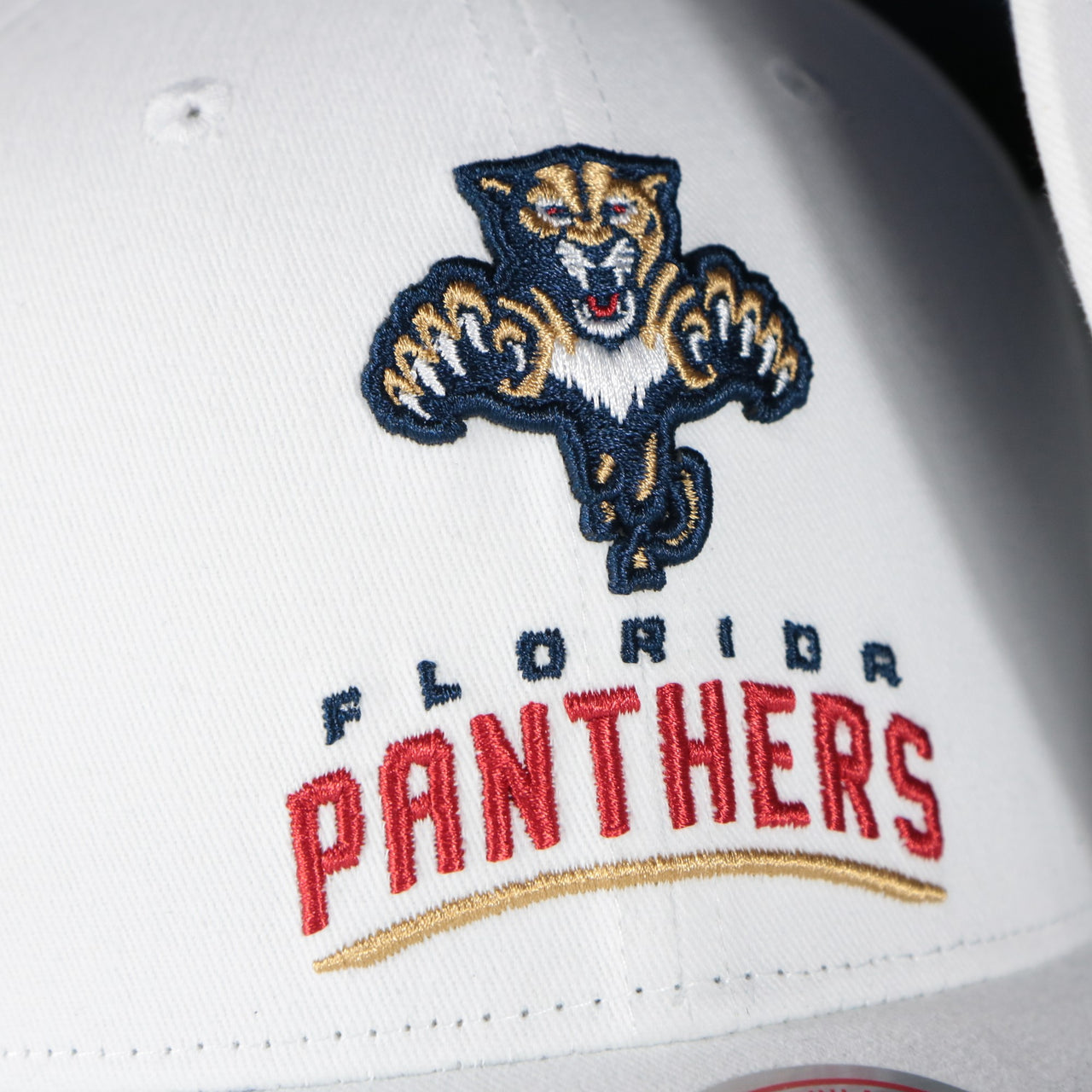 panthers logo on the Florida Panthers NHL All in Pro Navy Bottom | White Snapback Hat
