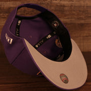 Gray under visor of the Arizona Diamondbacks 2001 World Series Side Patch Gray Bottom 9Fifty Snapback Hat