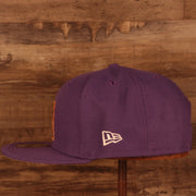 Wearer's left of the Arizona Diamondbacks 2001 World Series Side Patch Gray Bottom 9Fifty Snapback Hat