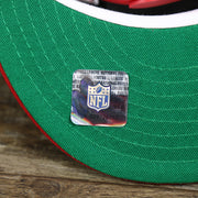 The NFL Sticker on the Tampa Bay Buccaneers NFL Side Font Green Bottom 9Fifty Snapback Cap | Black Snap Cap