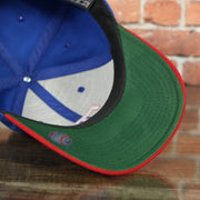 underside of the Texas Rangers American Needle Green Bottom Throwback Blue Wool Dad Hat | OSFM