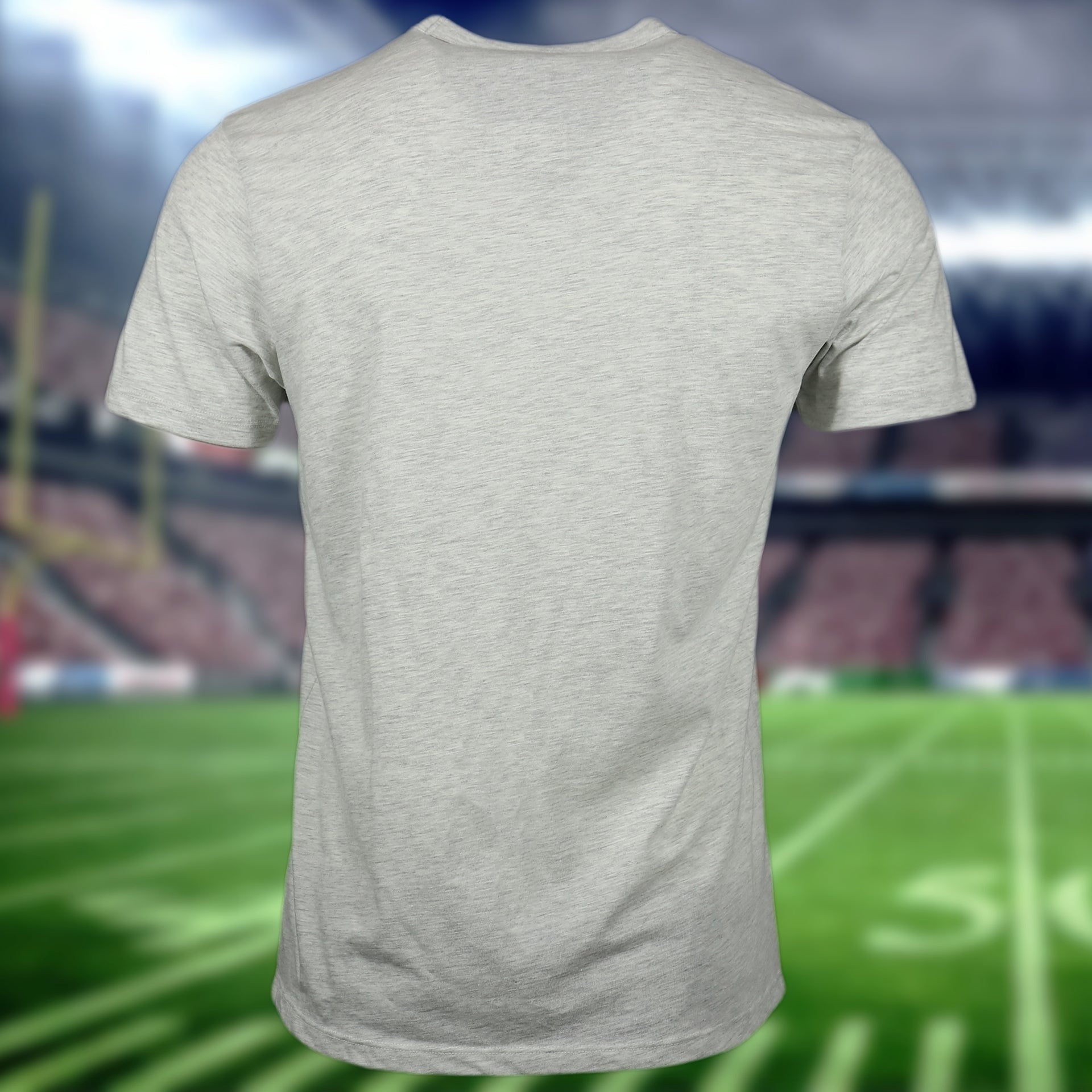 back side of the Philadelphia Eagles Distressed Throwback Kelly Green Bird Logo Gray Brisk Franklin  T-Shirt