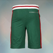 back side of the Jordan Craig Green Striped Track Shorts | Retro Inspired Italian Colorway Shorts with Zipper Pockets