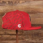wearers right side Tampa Bay Buccaneers x Gatorade Red 9Fifty Grey Bottom Snapback