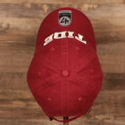 top of the Alabama Crimson Tide Logo Red Adjustable Dad Hat