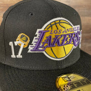 number shot Los Angeles Lakers "Championship Rings" All Over Side Patch Gray Bottom 59FIFTY Fitted Cap