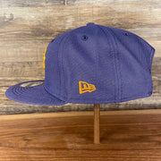 Wearer's left of the Phoenix Suns NBA 75th Anniversary Side Patch Gray Bottom Purple 9Fifty Snapback Hat | Back Half