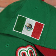 mexico flag on the Mexico 2023 World Baseball Classic Two Tone Grey Bottom Green/Red 9Forty Dad Hat