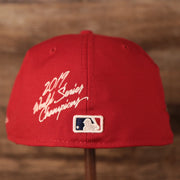 Back of the Washington Nationals 2019 World Series Champ Script Gray Bottom Side Patch 59Fifty Fitted Cap