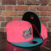 Lehigh Valley Ironpigs Coqui Copa De La Diversion 2023 Two-Tone Black Bottom 9Fifty Snapback Hat | Pink/Blue 950