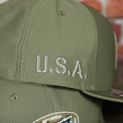 USA embroidery on the Eagles Fitted Cap | Philadelphia Eagles 2019 Salute To Service Fitted Hat | 59Fifty Fitted Hat