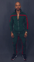 Italian Colorway Inspired Italian Fashion Green Red Stripe Snake and Bees Velour Track Pants